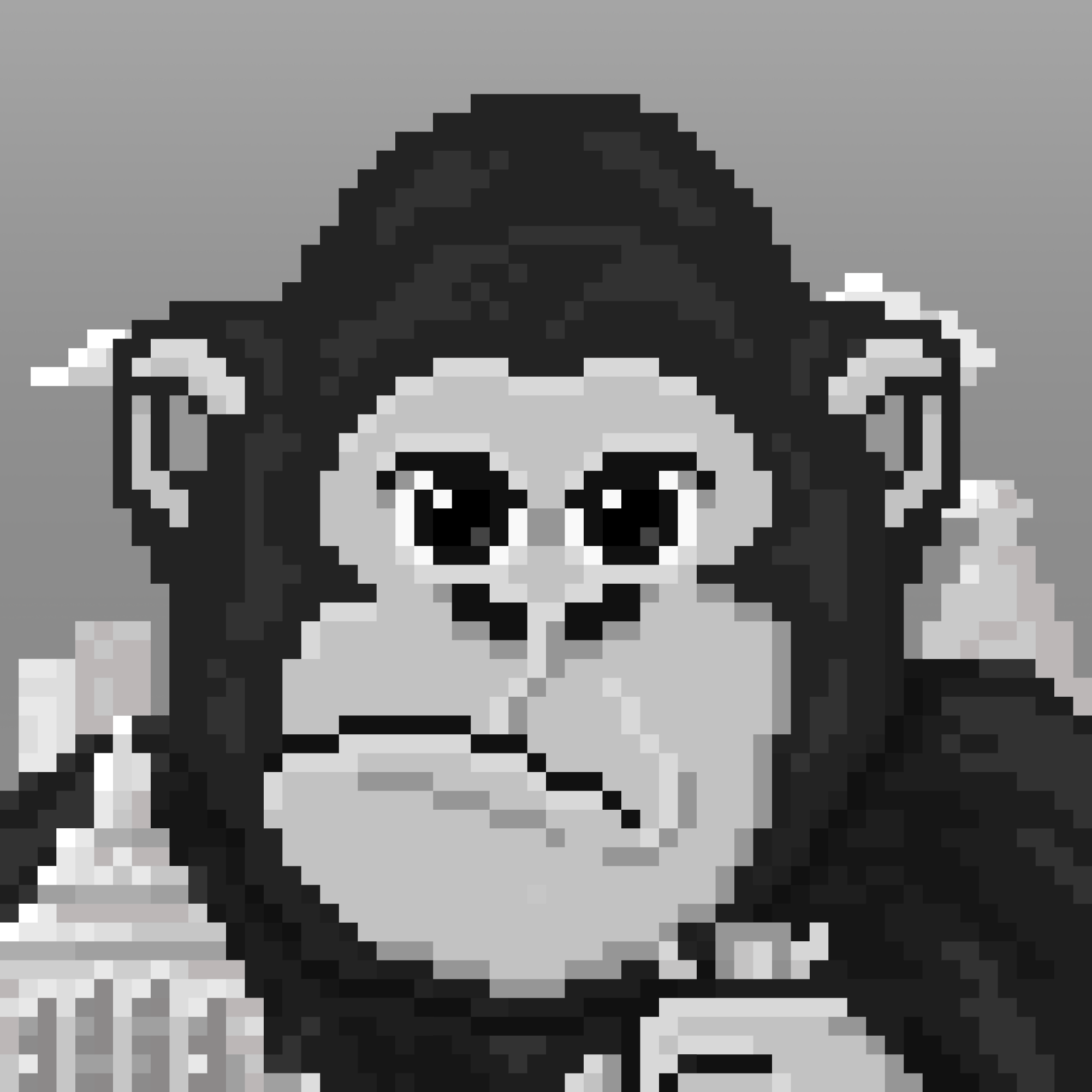 POTA #110 - Arthur Kong